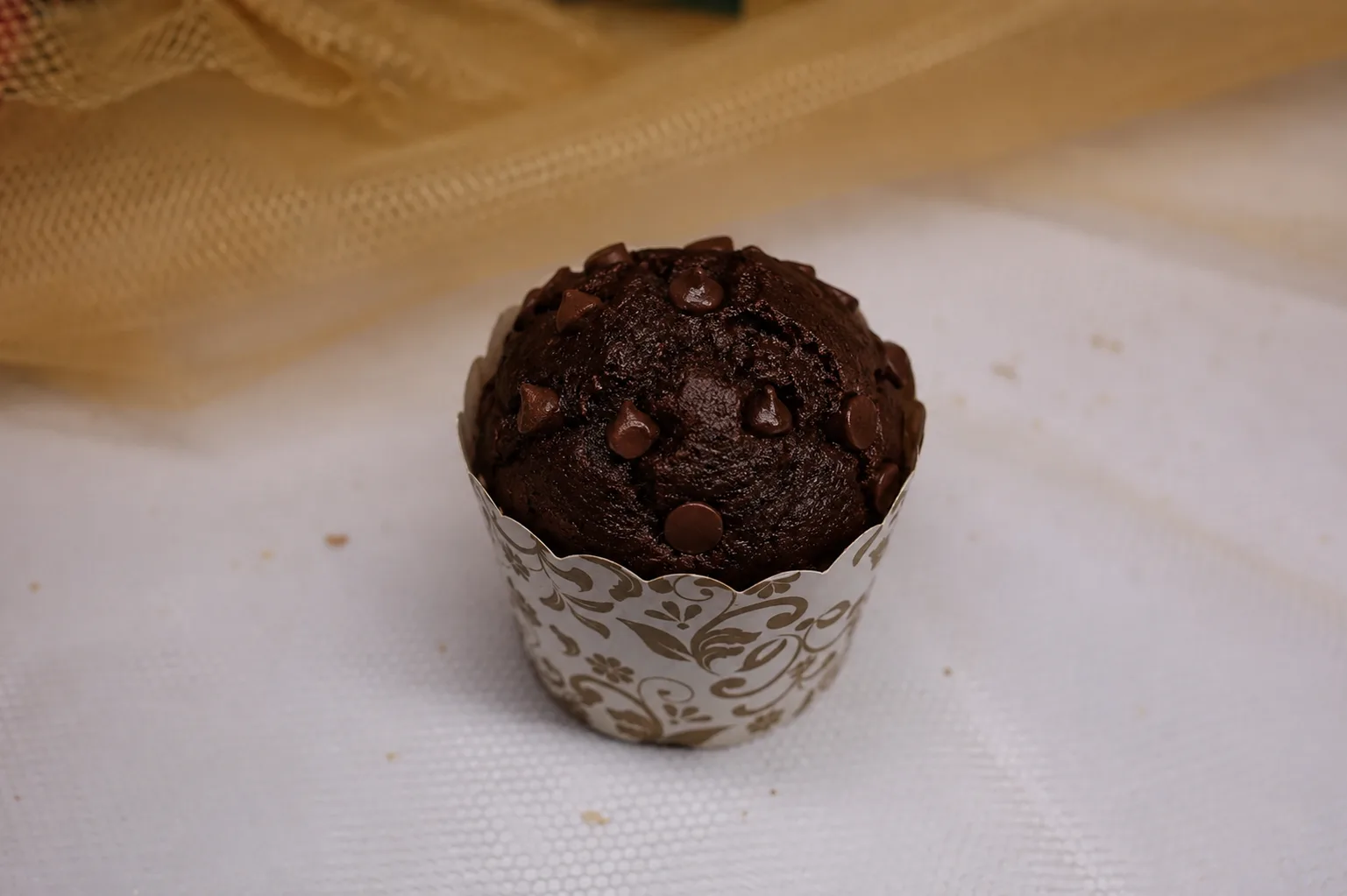 Chocolate Muffin